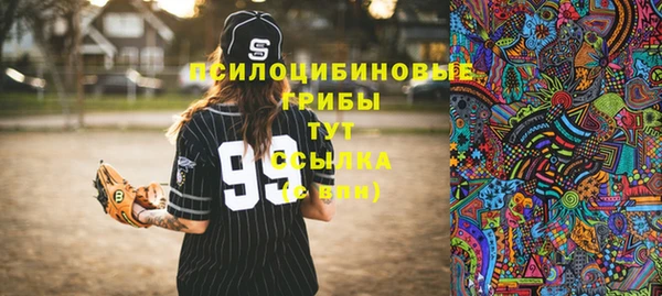 дурь Белокуриха