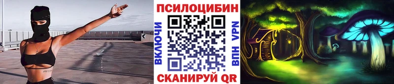купить закладку  Реутов  Галлюциногенные грибы Magic Shrooms 